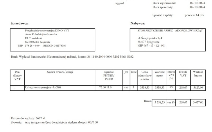 Zbiórka Faktura za leczenie królików - zdjęcie główne