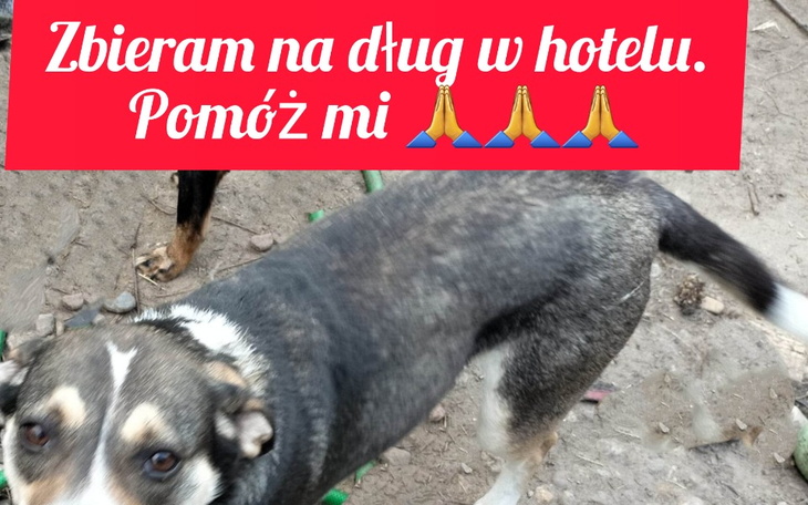 Zbiórka By nie stracić hotelu - zdjęcie główne