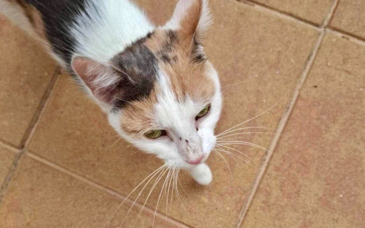 Obrazek ilustrujący wsparcie dla potrzebujących.