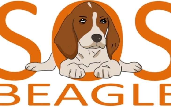 Zbiórka Pomoc na zakup karmy dla beagli - zdjęcie główne