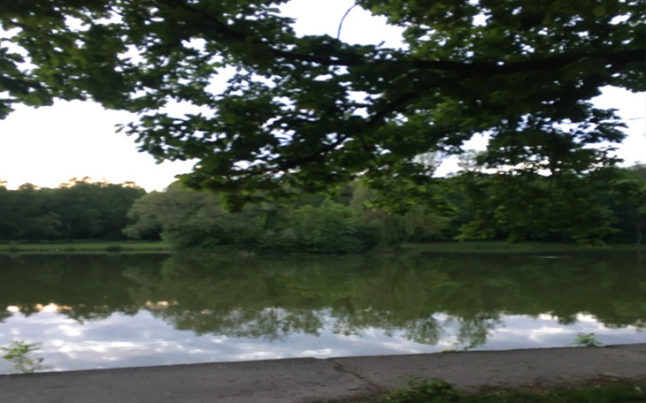 Zbiórka Chce tylko normalnie żyć - zdjęcie główne