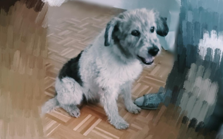 Zbiórka Kudi - zdjęcie główne