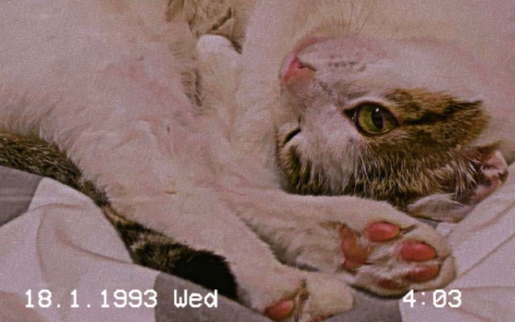 Zbiórka Na wakacje marzeń2 - zdjęcie główne