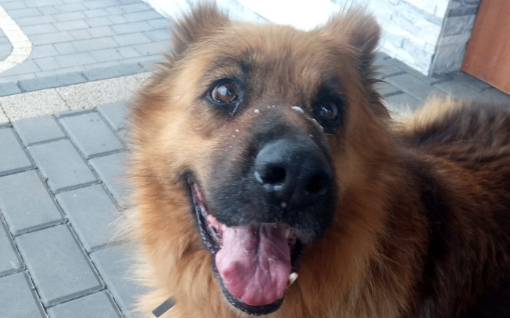 Zbiórka Pomoc w leczeniu Sary - zdjęcie główne