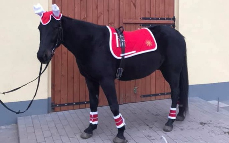 Zbiórka Operacja Askana - zdjęcie główne