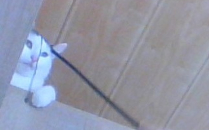 Zbiórka eloeleo - zdjęcie główne