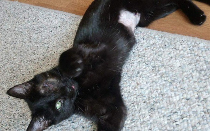 Zbiórka Od pecha, do szczęścia - zdjęcie główne