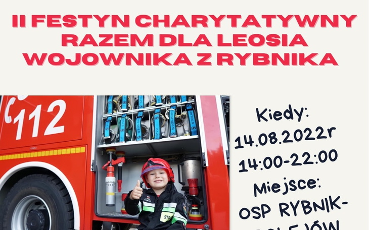 Zbiórka Na organizacje festynu - zdjęcie główne