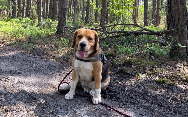 Zbiórka Pomoc dla Gomeza - zdjęcie główne