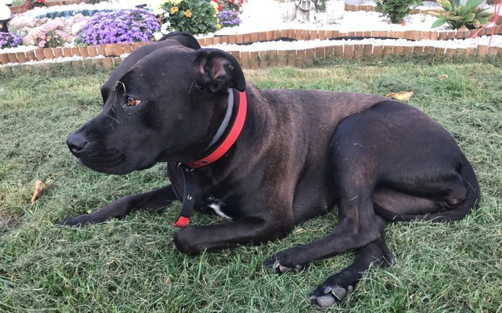 Zbiórka Operacja Ari - zdjęcie główne