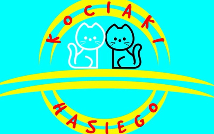 Zbiórka Kociaki Hasiego na pomoc kotom - zdjęcie główne