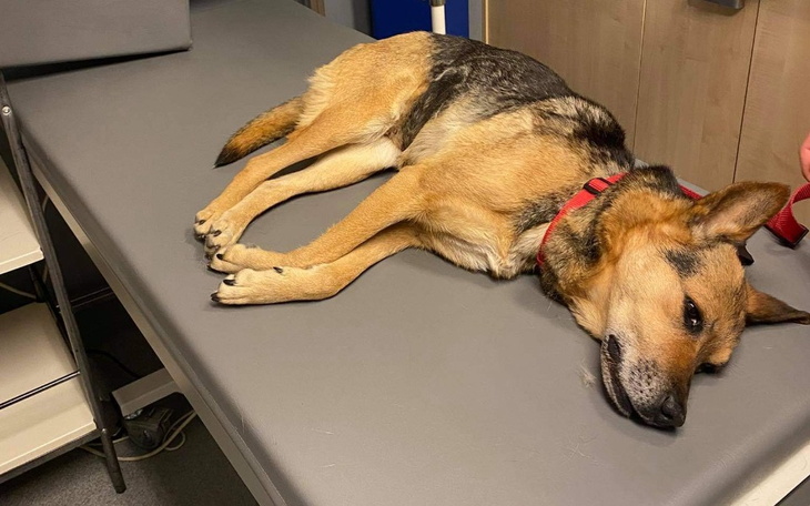 Zbiórka Nie chciałam umierać - zdjęcie główne