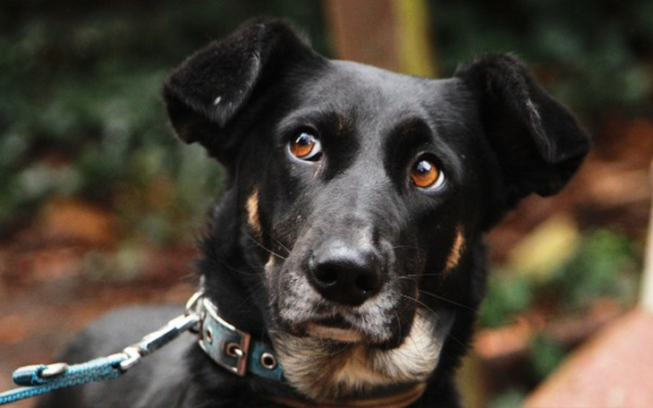 Zbiórka Na bezpieczny miesiąc dzikusów.. - zdjęcie główne