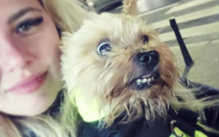 Zbiórka Na leczenie Pieska przyjaciela - zdjęcie główne