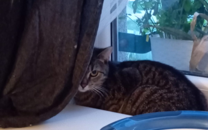 Zbiórka walka Lucka z śmiertelną chorobą - zdjęcie główne