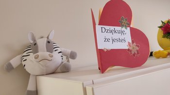 Zbiórka Rozwój PMP dla Dzieci - miniaturka zdjęcia