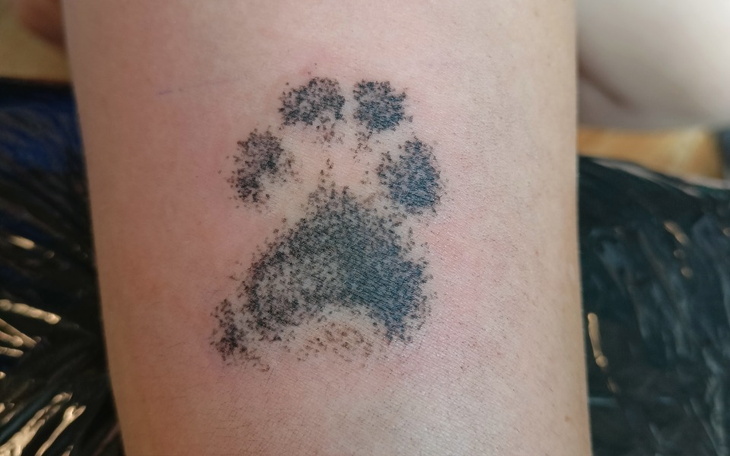 Zbiórka Sprzęt do pracy i pasji - zdjęcie główne