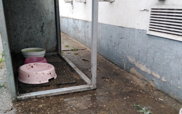 Zbiórka Niech ich święta trwają cały rok - zdjęcie główne