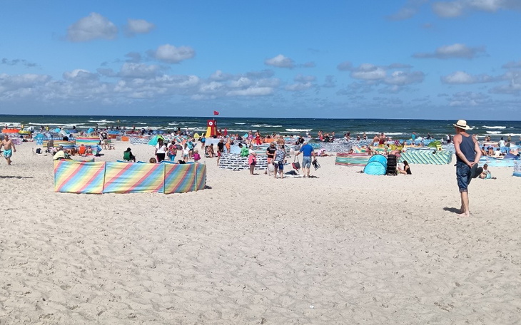 Zbiórka Ucieczka od przemocowcy - zdjęcie główne