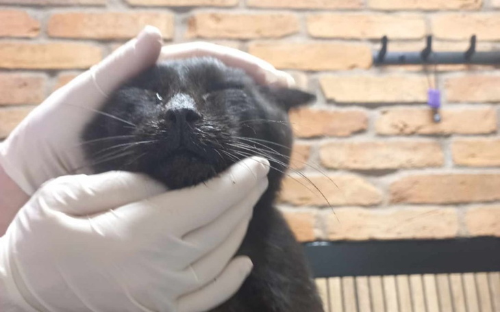 Zbiórka Chudzielec potrzebuje pomocy - zdjęcie główne