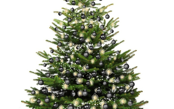 Zbiórka Zbiórka na święta dla rodziny - zdjęcie główne