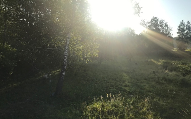 Zbiórka Cztery kąty i spokojne życie - zdjęcie główne