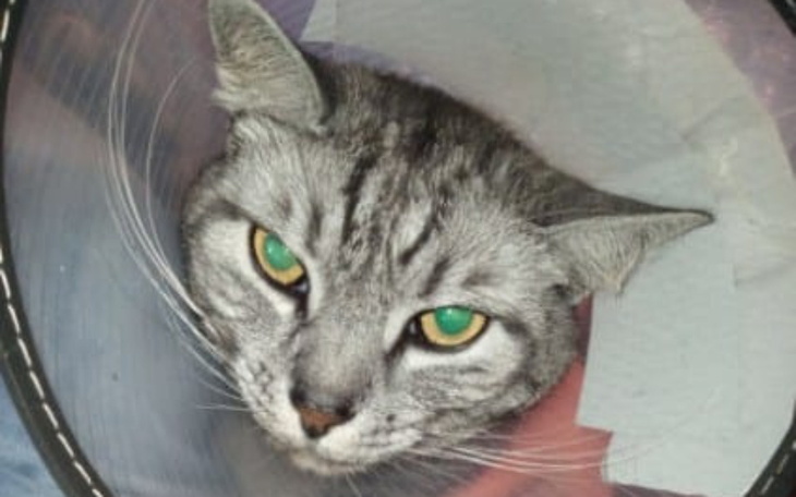 Góry w chmurach, z widocznymi śladami po pożarze.