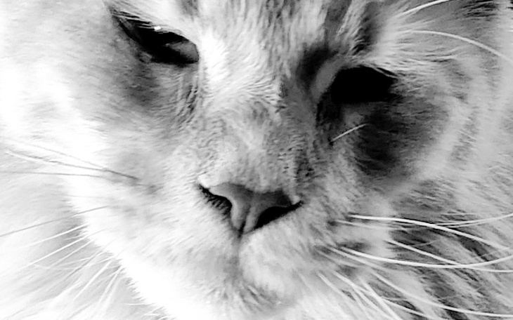 Zbiórka Wakacyjno lecznicza pomoc - zdjęcie główne