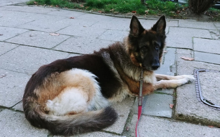 Zbiórka Serduszko Ajry - zdjęcie główne