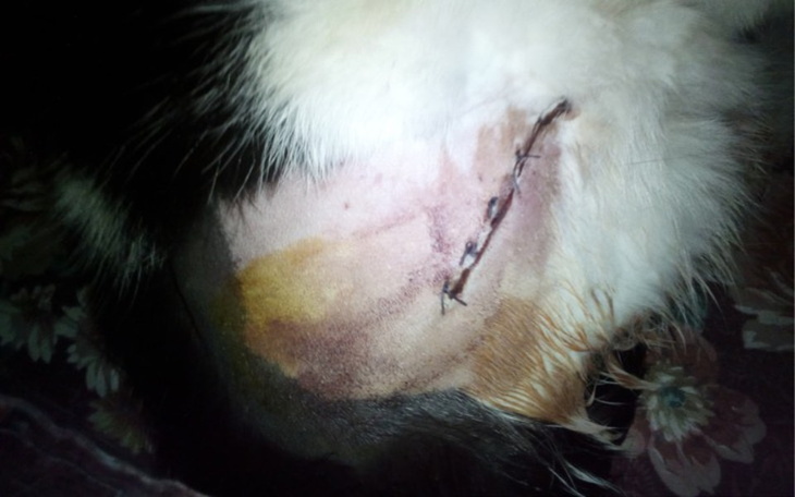 Zbiórka Jestem połamany ale chcę żyć - zdjęcie główne