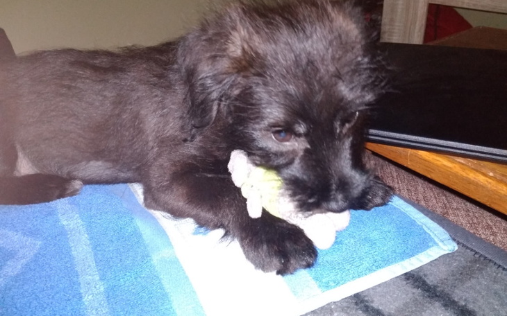 Zbiórka Pomoc w spłacie za leczenie - zdjęcie główne