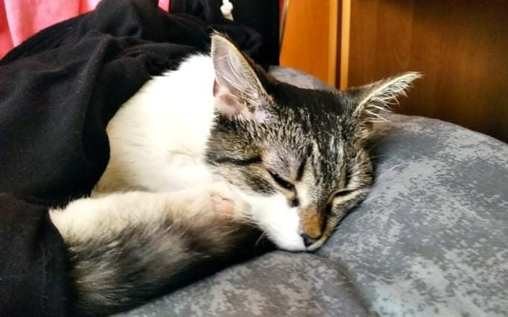 Zbiórka Życie, tylko o to proszę - zdjęcie główne