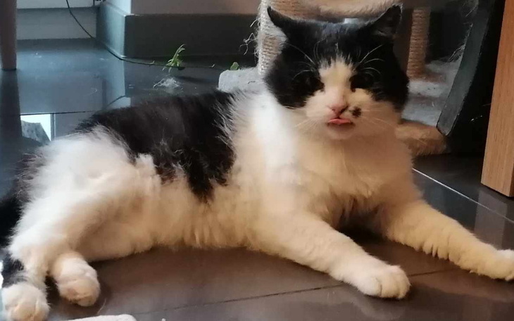 Zbiórka Walka o zdrowie Buby - zdjęcie główne