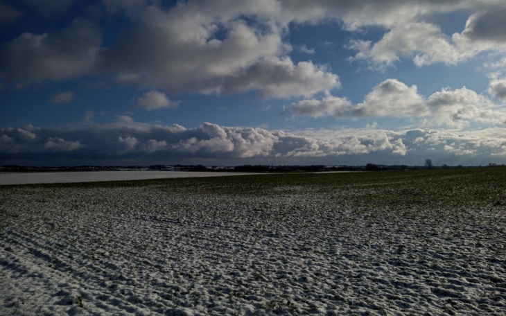 Zbiórka Potrzebuje auto - zdjęcie główne