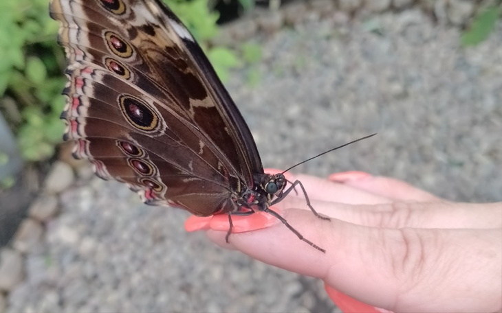 Zbiórka LepszeJutro-kaucja na mieszkanie - zdjęcie główne
