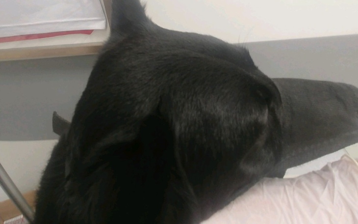 Zbiórka CYGAN. uszkodzone kręgi OPERACJA - zdjęcie główne