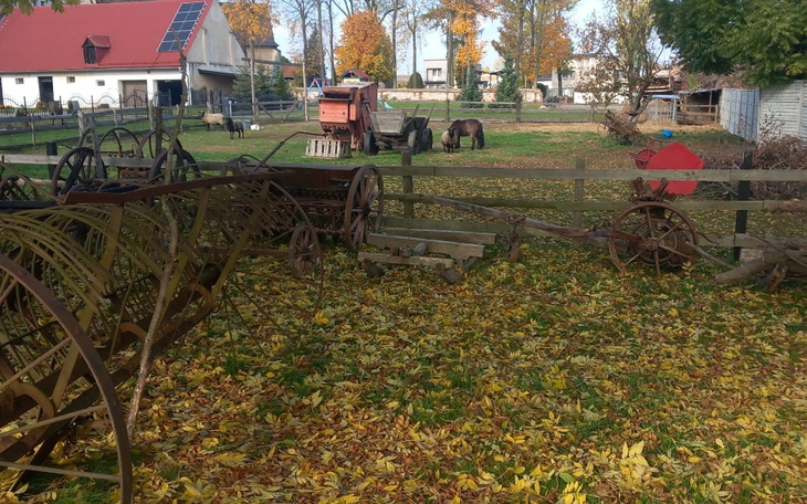 Widok na podwórze z jesiennymi liśćmi i starymi maszynami rolniczymi.
