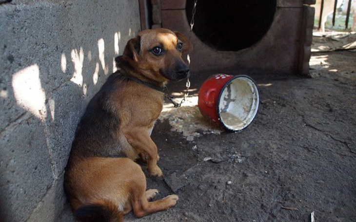 Zbiórka Znaleziony na cmentarzu... - zdjęcie główne
