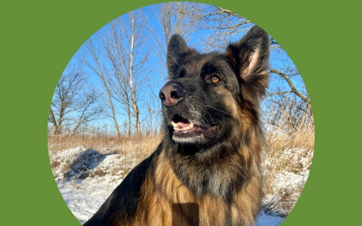 Zbiórka VETzbiórka Rancho Psiraj - zdjęcie główne