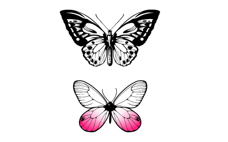 Zbiórka odzyskanie sprzętu do pracy - zdjęcie główne