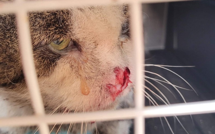 Zbiórka Toniemy... Ratujcie... - zdjęcie główne