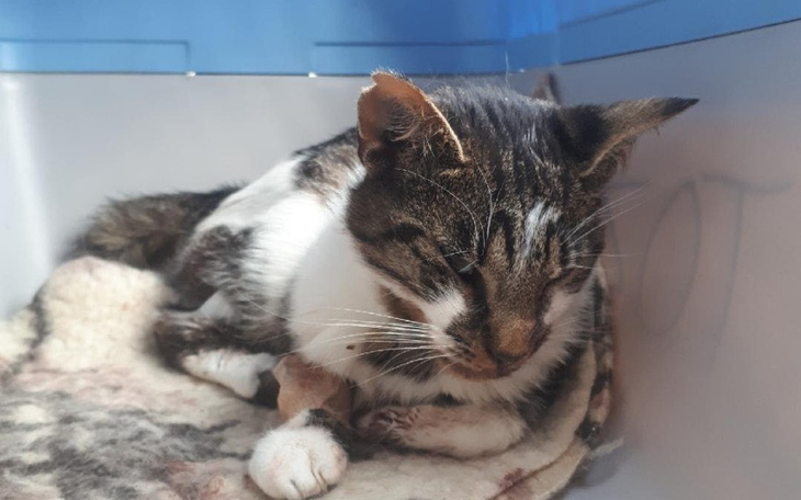 Zbiórka Złamana szczęka i życie... - zdjęcie główne