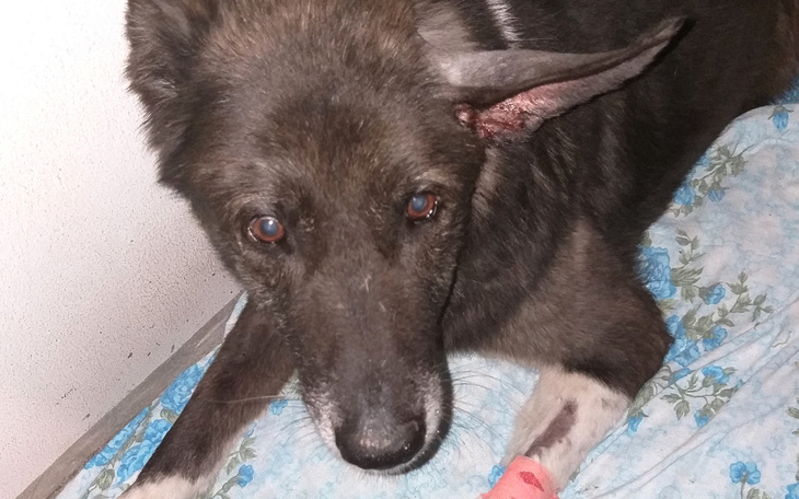 Zbiórka By CUD trwał ... - zdjęcie główne