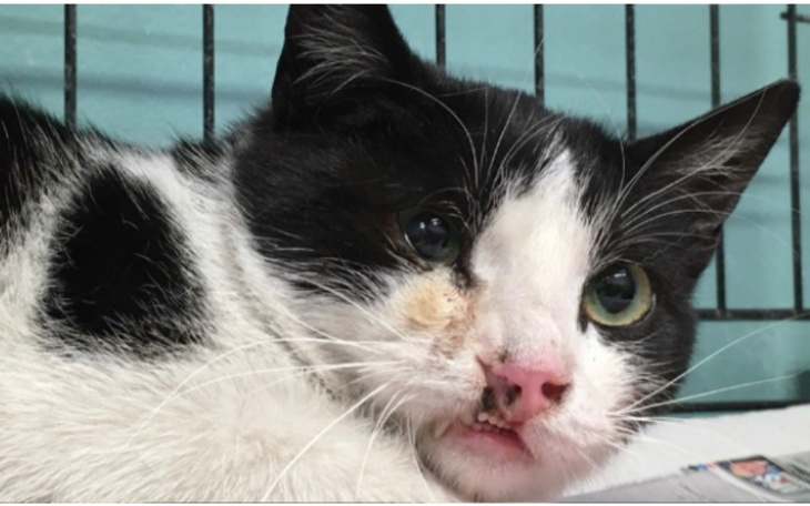 Zbiórka FakturyOperacjePolipSOS - zdjęcie główne