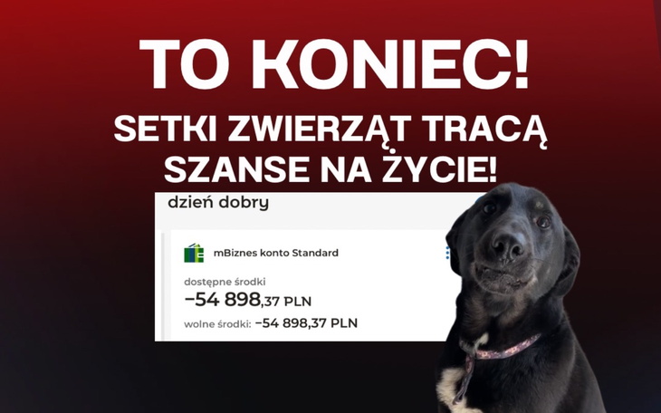 Plakat z psem, apel o pomoc dla zwierząt w potrzebie.