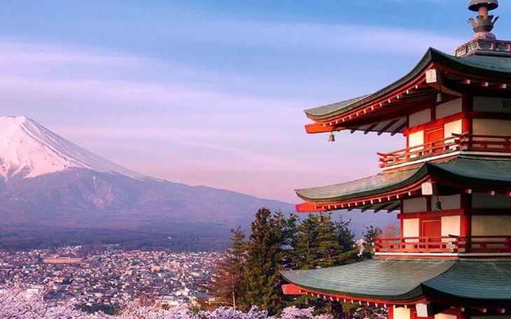 Zbiórka dobra flacha - zdjęcie główne