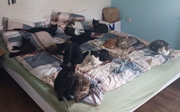 Zbiórka Zbiórka na żwirek - zdjęcie główne