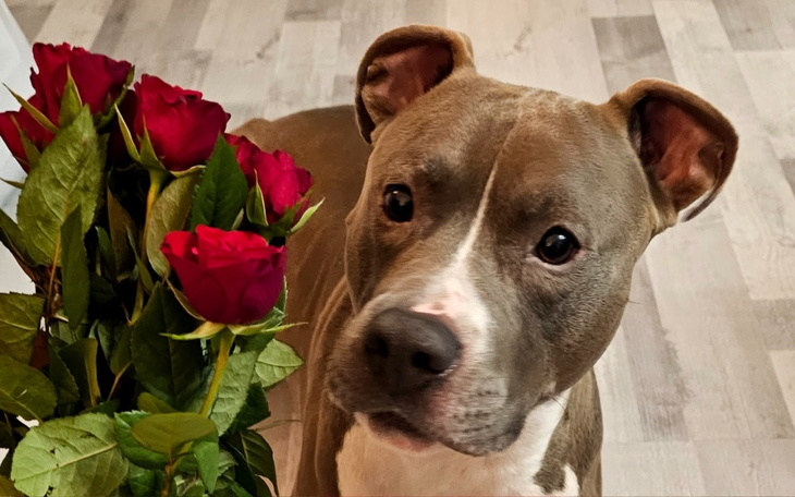 Zbiórka Behawiorysta potrzebny od zaraz - zdjęcie główne