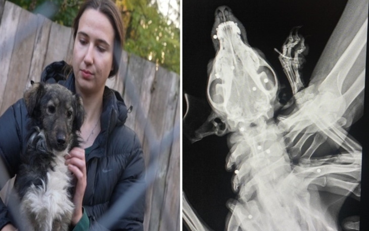 Kobieta trzyma psa, obok zdjęcie rentgenowskie jego kości.