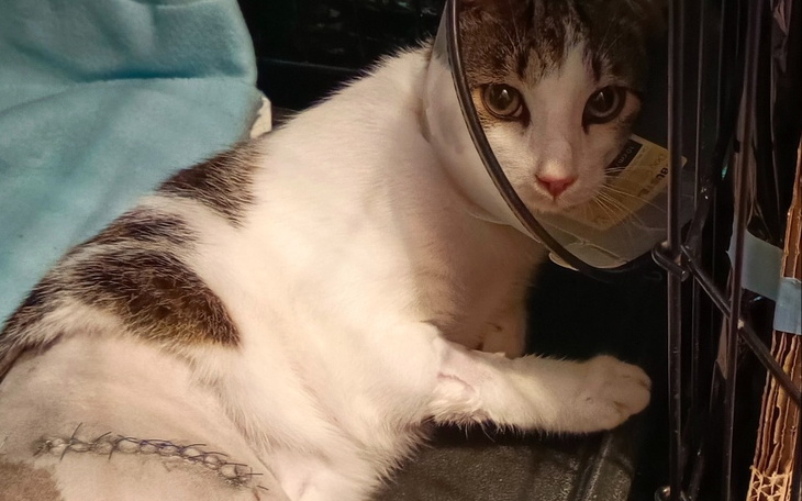 Zbiórka Szansa na normalne życie Edka - zdjęcie główne